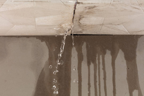 Professional Structural Drying technician working in Trinway, OH